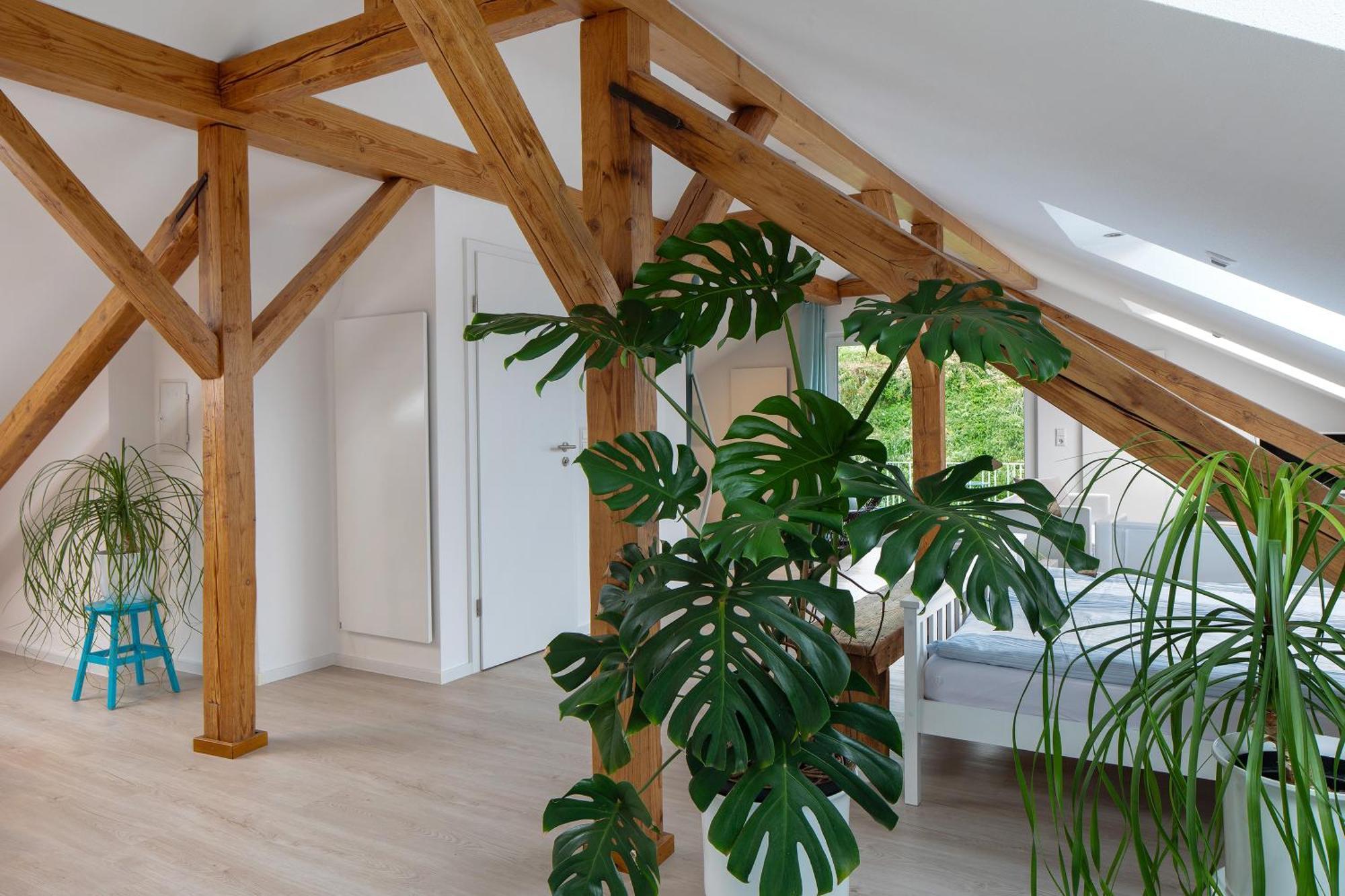 Ferienhaus Engelsberghof Endingen am Kaiserstuhl Kültér fotó